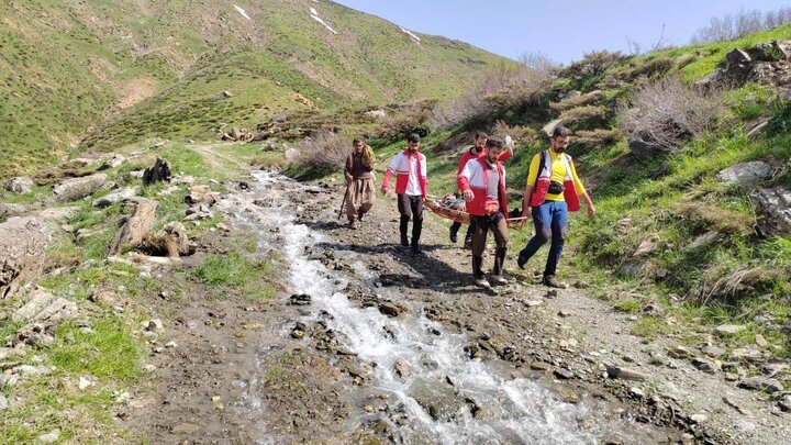 حادثه تلخ برای کودک ۷ ساله بوشهری در خراسان شمالی حادثه تلخ برای کودک ۷ ساله بوشهری در خراسان شمالی